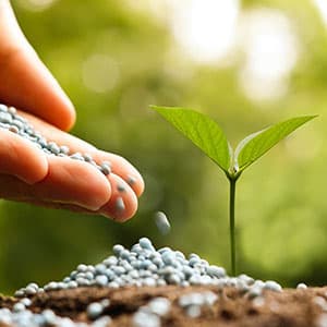 Plant Food & Fertilisers