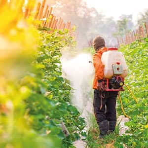 Weed Control