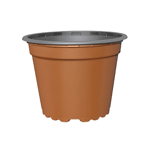Container Pot