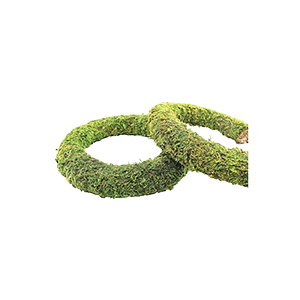 Wreath Rings