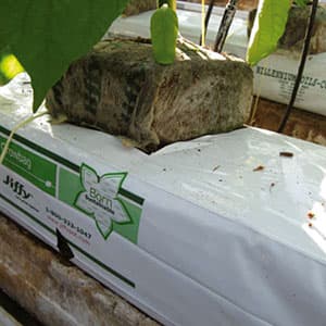 Grow Bags