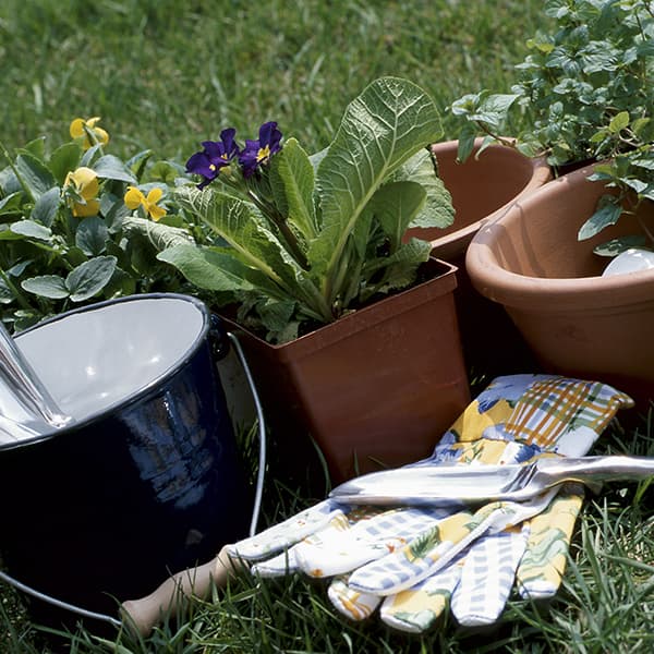 Garden Planters