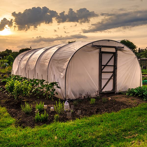 Polytunnel Covers