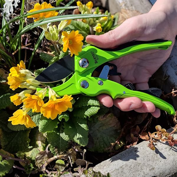 Secateurs & Snips