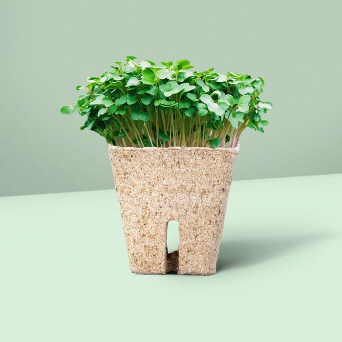 Grow pots discount