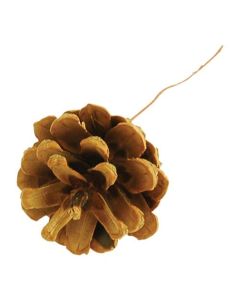 Natural Pine Cones on Wire