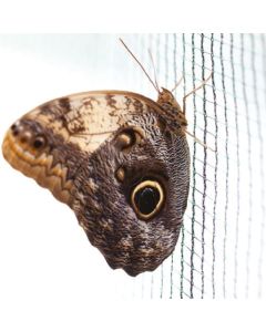 Anti-Butterfly Netting