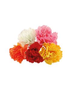 Carnation Picks - Assorted Colours