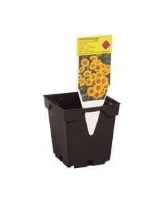 Square Injection Moulded Pots (With Label Slots) - 1.5L
