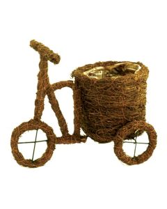 Salim Tricycle Planters