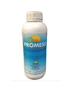 Promess - 1L