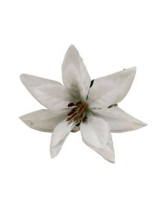 Poinsettia Picks - White