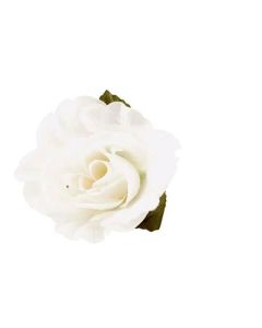 White Rose Picks