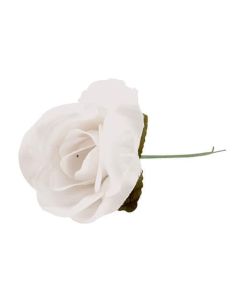 Velvet Rose Picks - White