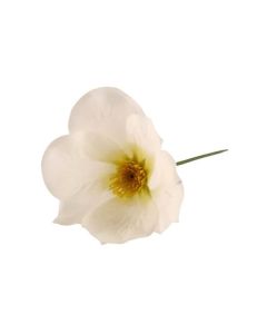 Single Christmas Rose Picks - White