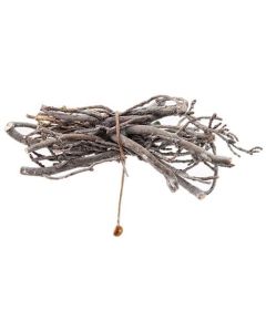 Frosted Curly Twig Picks