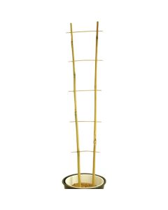 Bamboo Ladder Trellis - 86cm