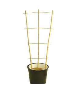 Bamboo Fan Trellis - 60cm