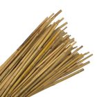 Bamboo Canes