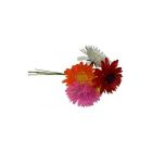 Romance Mum Picks - Assorted