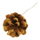 Natural Pine Cones on Wire