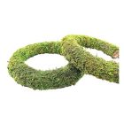 Padded Moss Effect Wreath Rings - 12"