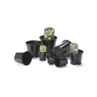 Aeroplas Container Pots with Label Slots - 2L