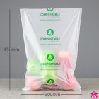 Compostable Packing Bags - 25cm x 30cm