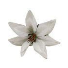 Poinsettia Picks - White