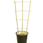 Bamboo Fan Trellis - 60cm