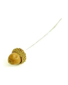 Acorns on Wire