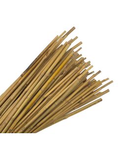 Bamboo Canes