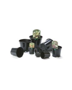 Aeroplas Container Pots without Label Slots - 15L