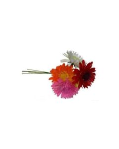 Romance Mum Picks - Assorted