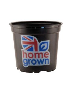 Teku 'Home Grown' Pots - Black - 17cm