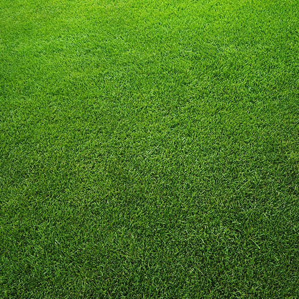 Artificial Grass Matting