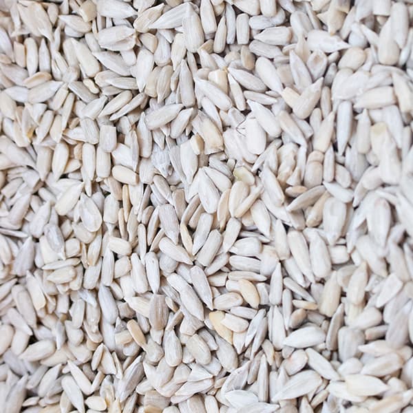 Vegetable Seeds