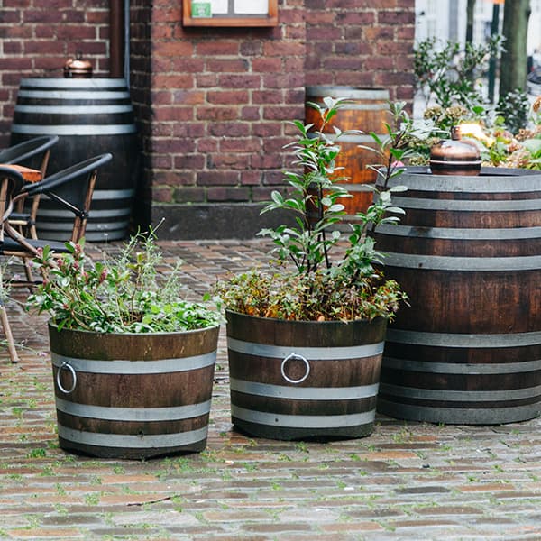 Natural & Wooden Planters